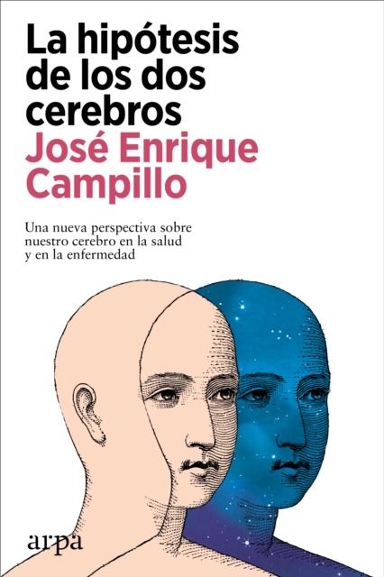 La hipótesis de los dos cerebros