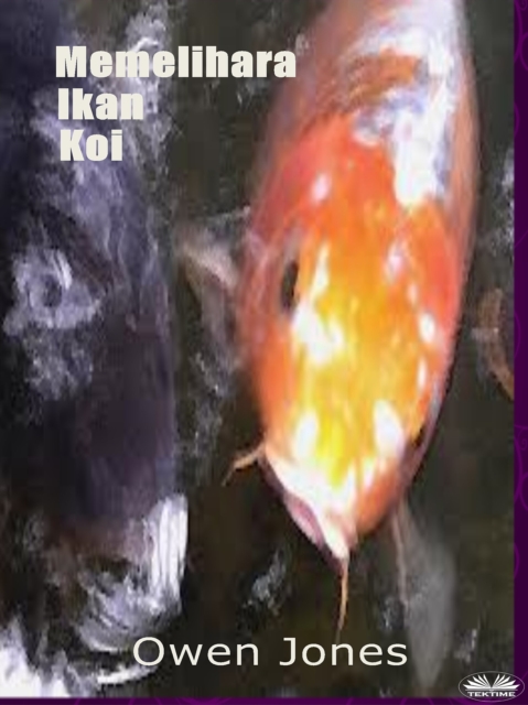Memelihara Ikan Koi