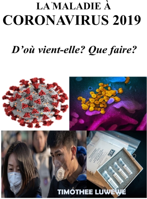 La Maladie A Coronavirus 2019