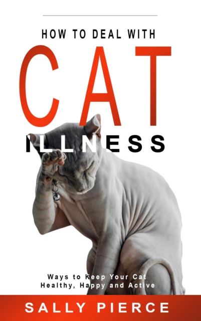 How to Deal with Cat Illness: Ways to Keep Your Cat Healthy, Happy and Active