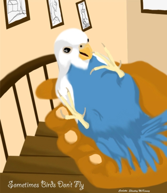 Sometimes Birds Don't Fly