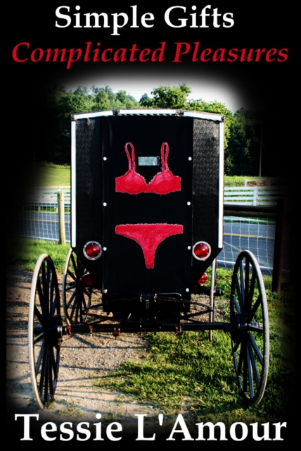 Simple Gifts, Complicated Pleasures