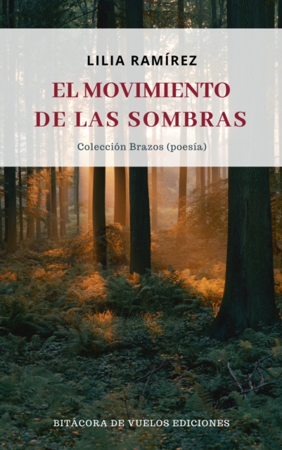 El movimiento de las sombras