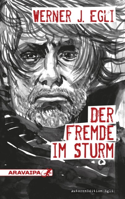 Der Fremde im Sturm