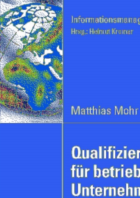 Qualifizierungsstrategien für betriebswirtschaftliche Unternehmenssoftware
