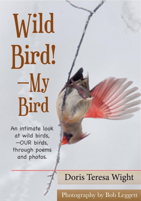 Wild Bird! -My Bird