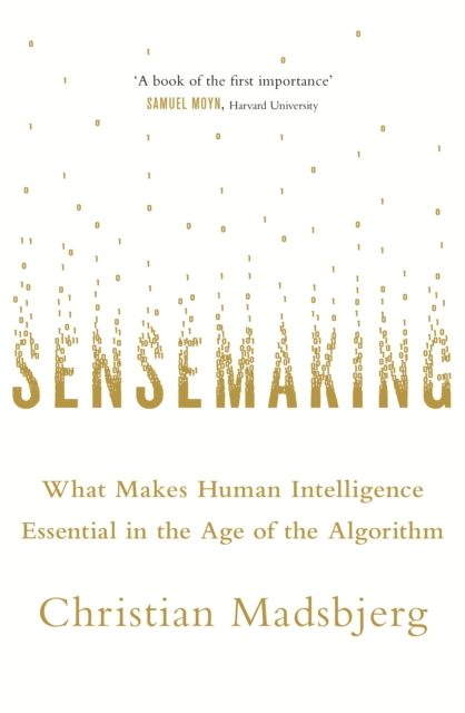 Sensemaking