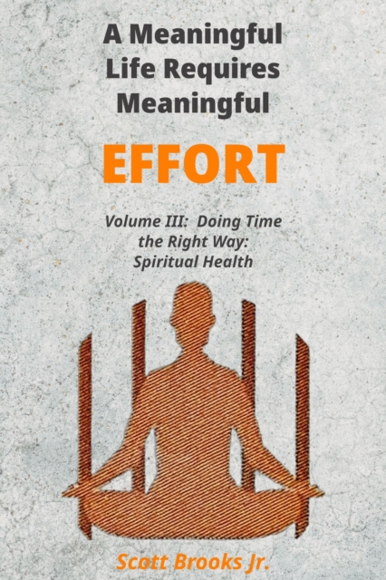 Meaningful Life Requires Meaningful Effort