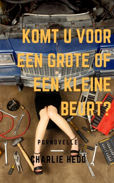 Komt u voor een grote of een kleine beurt?