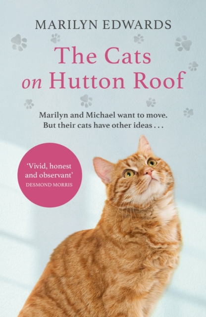 Cats on Hutton Roof
