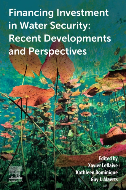 Financing Investment in Water Security