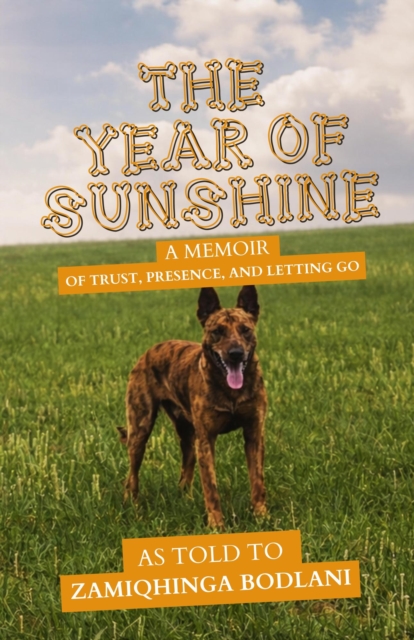 Year of Sunshine