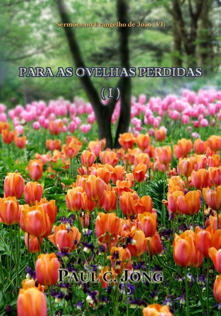 Sermoes no Evangelho de Joao (VI) - Para as Ovelhas Perdidas (I)