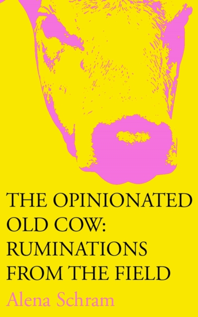 Opinionated Old Cow: Ruminations from the Field