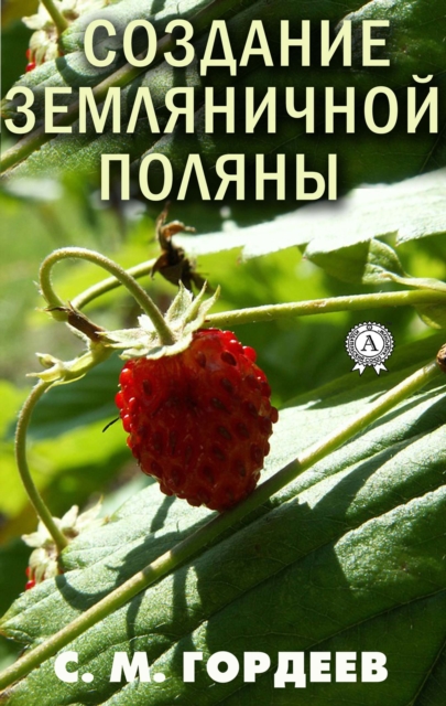  Create a strawberry field