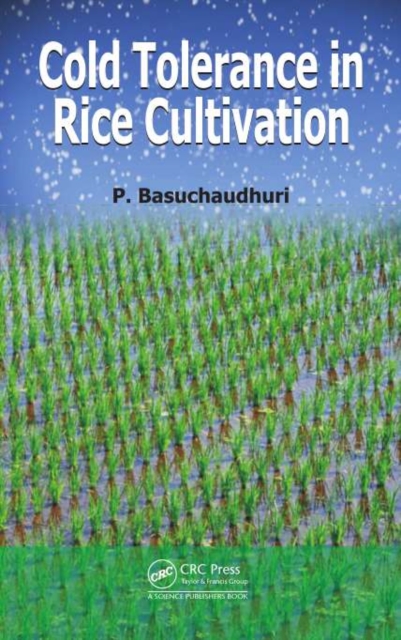 Cold Tolerance in Rice Cultivation
