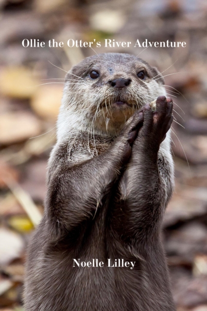 Ollie the Otter's River Adventure