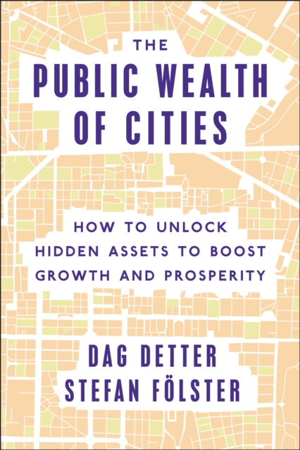 Public Wealth of Cities