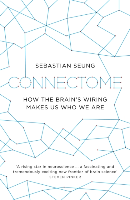 Connectome