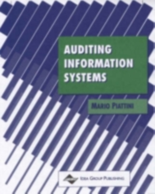 Auditing Information Systems