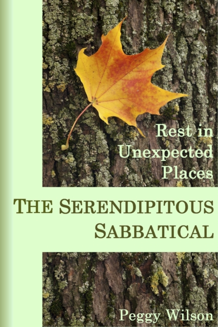 Serendipitous Sabbatical:  Rest in Unexpected Places