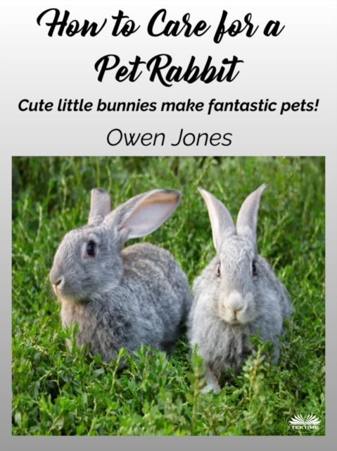 How To Care For A Pet Rabbit