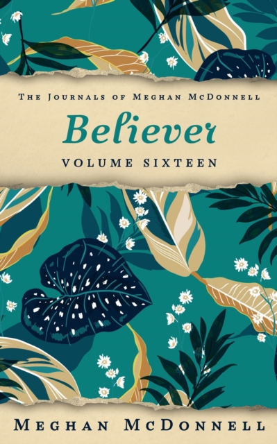 Believer: Volume Sixteen