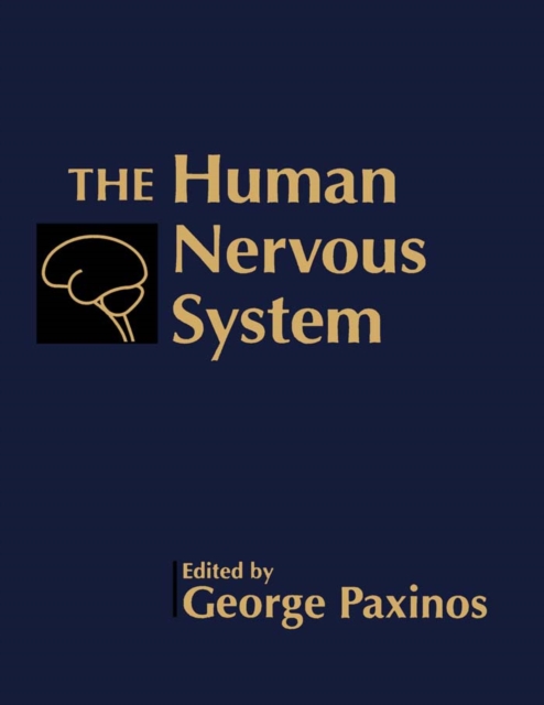 Human Nervous System