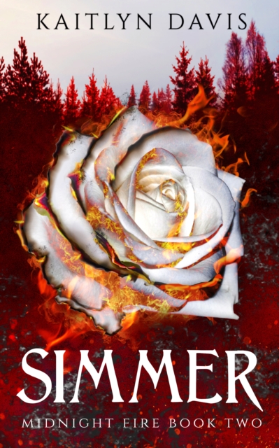 Simmer (Midnight Fire Series Book Two)
