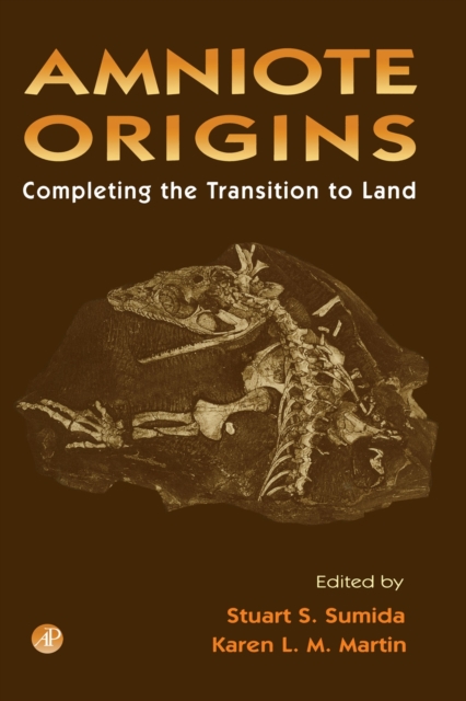 Amniote Origins