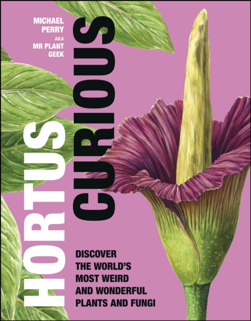 Hortus Curious