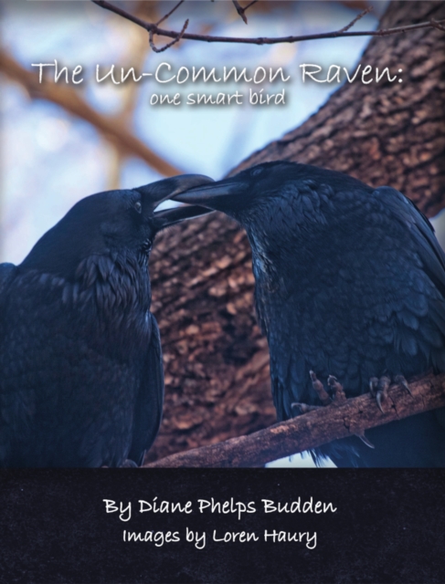 Un-Common Raven: One Smart Bird