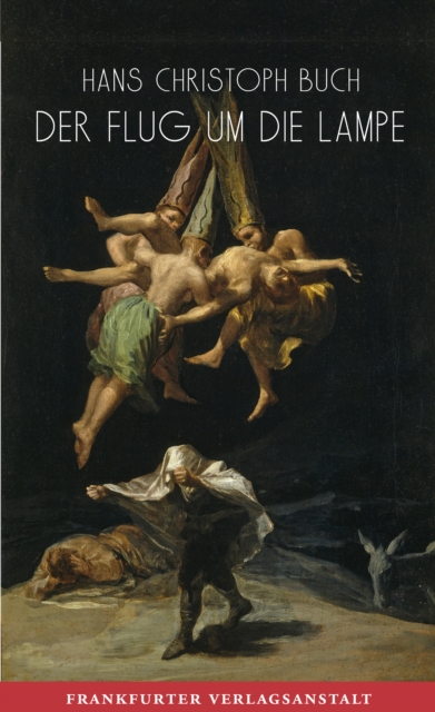 Der Flug um die Lampe