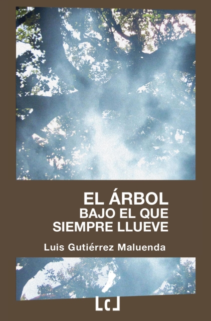 El arbol bajo el que siempre llueve