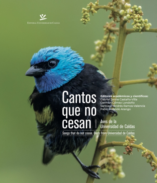 Cantos que no cesan  