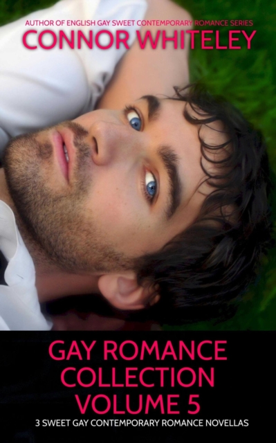 Gay Romance Collection Volume 5: 3 Sweet Gay Contemporary Romance Novellas