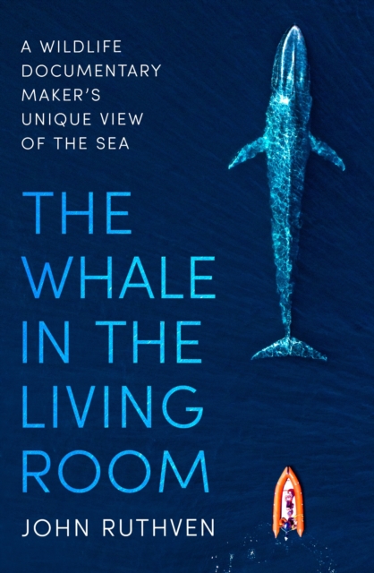 Whale in the Living Room
