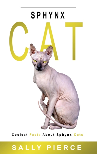 Sphynx Cat: Coolest Facts about Sphynx Cats
