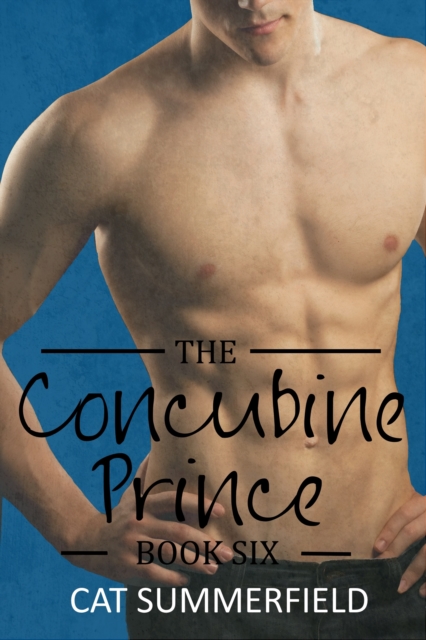 Concubine Prince: Book Six