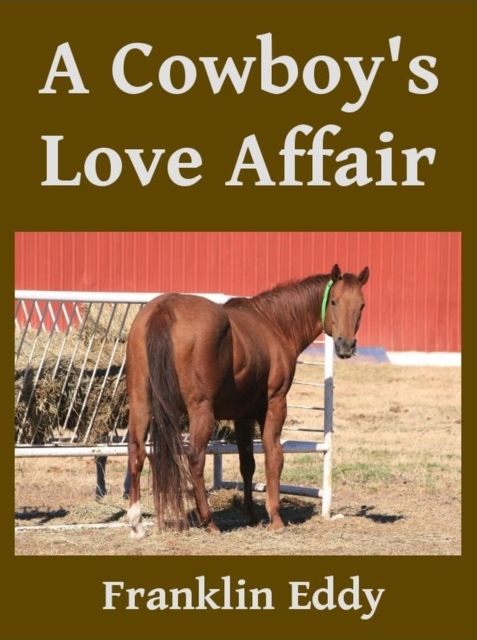 Cowboy's  Love Affair