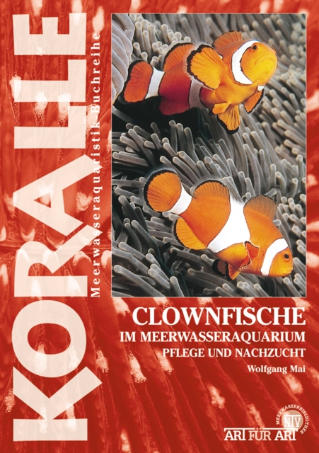 Clownfische Im Meerwasseraquarium