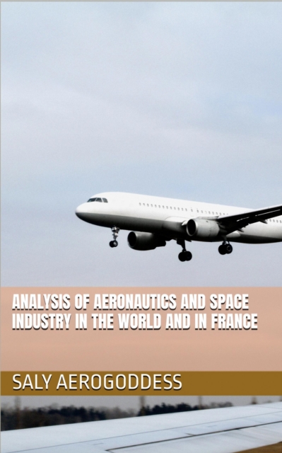 Analysis of the global and French aerospace sector