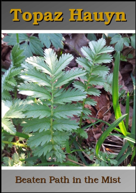 Beaten Path in the Mist