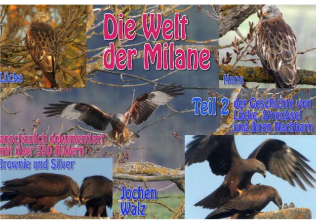 Die Welt der Milane Teil 2