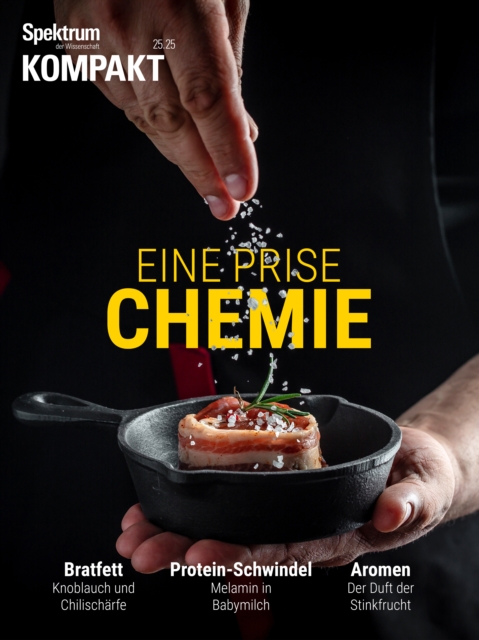 Spektrum Kompakt - Eine Prise Chemie