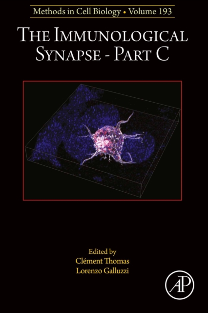 Immunological Synapse Part C