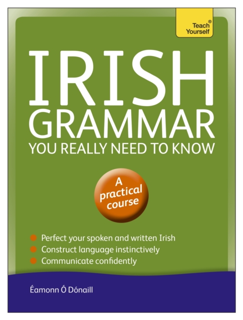 Irish Grammar You Really Need to Know: Teach Yourself