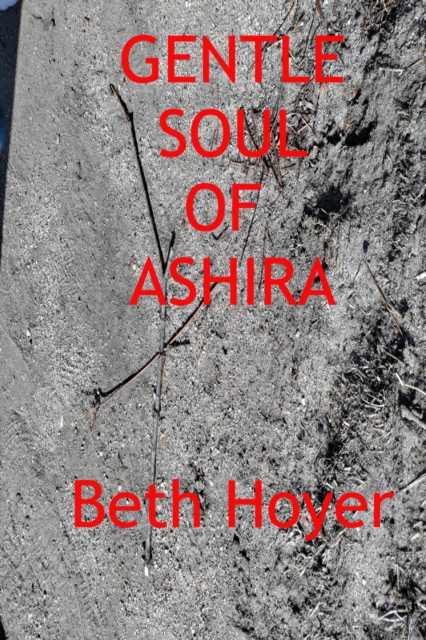 Gentle Soul of Ashira