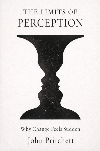 Limits of Perception: Why Change Feels Sudden